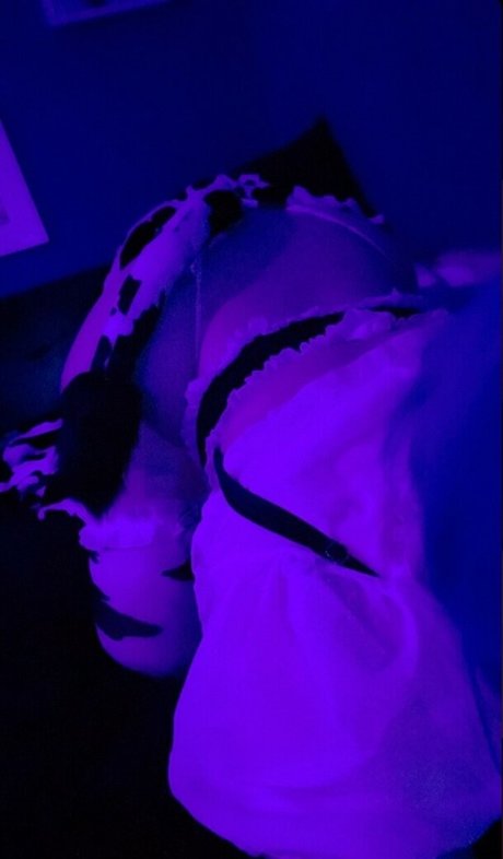 Will o wisps kostenlose kunst galerien