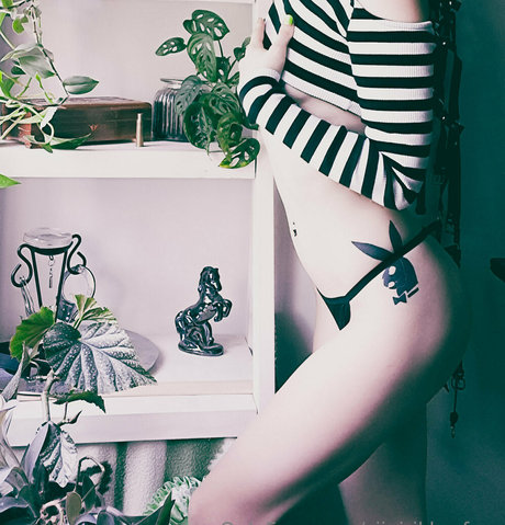 siipirikko free nacktheit kostenlose galerie