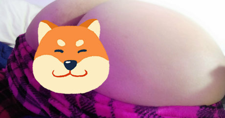 lycalopex ignis schöne sex bild