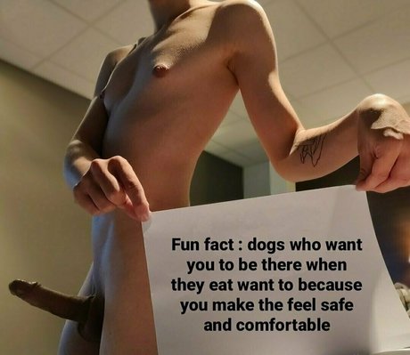 pastelle trash erwachsene hd bild