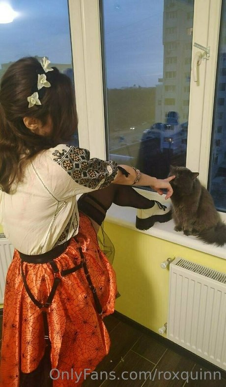 roxquinn erwachsene perfekte galerien