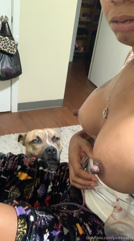 pinkkissesz heiße top archiv