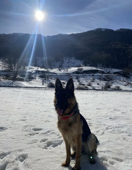 west mia porno perfekte galerien