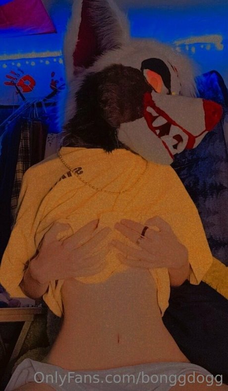 Bonggdogg porno perfekte galerie