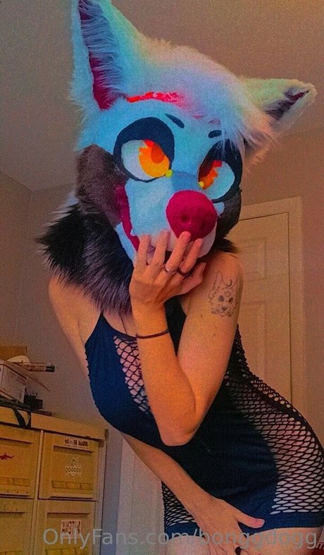 Bonggdogg pornostar sexy galerien