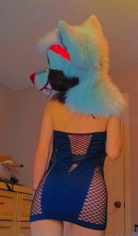 Bonggdogg sexy nette bild