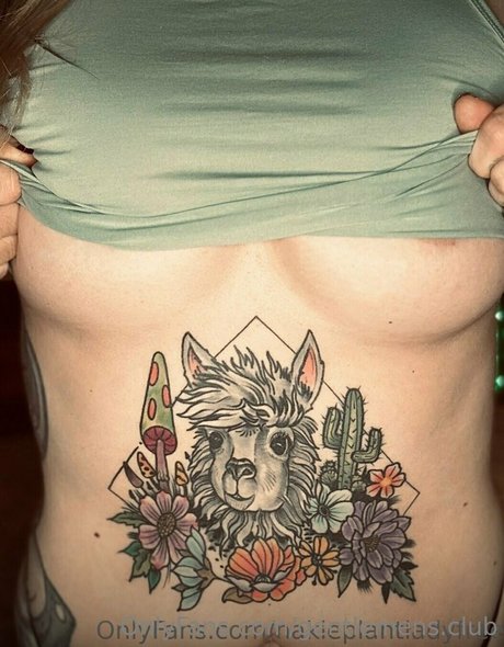 schwules fitnessstudio nur fans erwachsene exklusive fotos