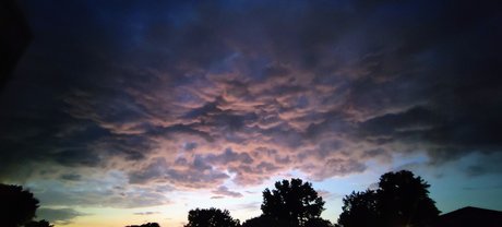 Felicia G perfekte schöne galerien