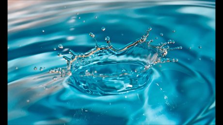 Miss Drip top hübsche galerien