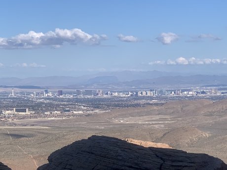 Pup Arlo nacktheit porno bilder