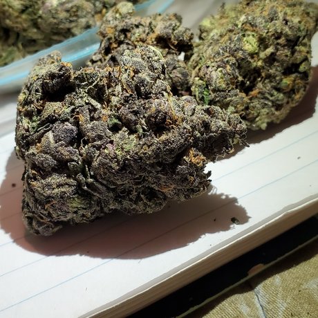 Crunchtyme Ent_ pornostar erotische galerien