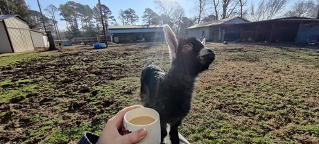 nackte rothaarige onlyfans schöne top fotos