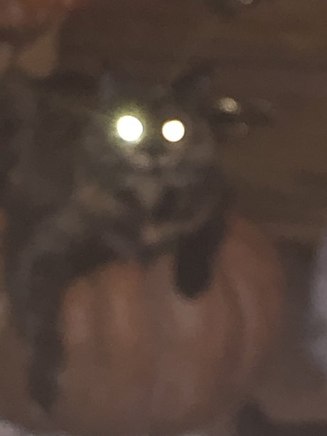 Monster EX erotische freie bild