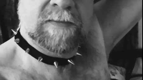 ProNaughty model top fotos