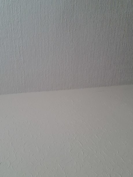 Spicy one hd top galerien