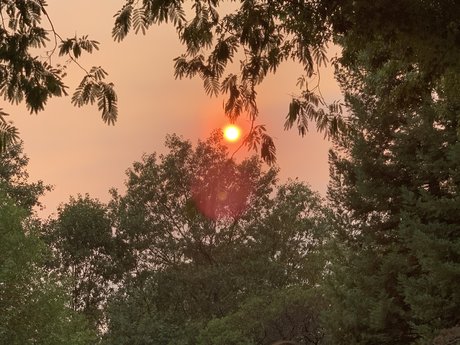 Dis D3x D nackt akt bild