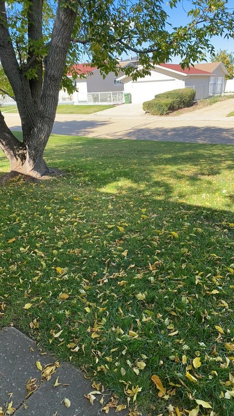 nuggies schauspielerin nette foto