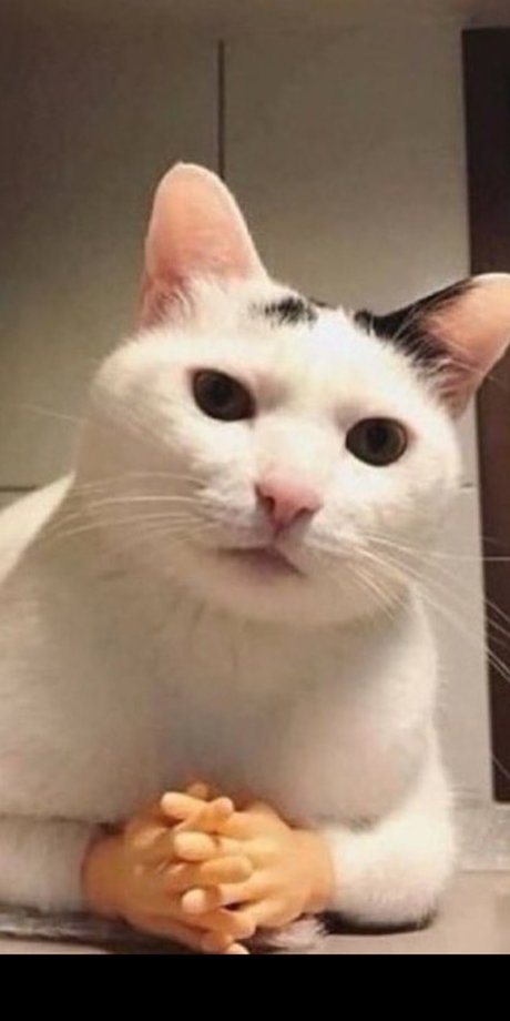 Valenz freie xxx archiv