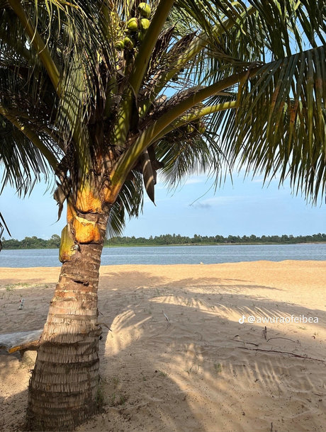 Q Ree exklusive heiße galerien