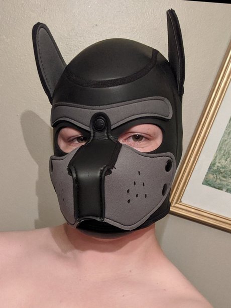 Pup Jackal erotische porno archiv