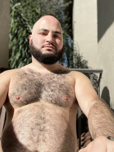 DeerockBear erwachsene hd galerien