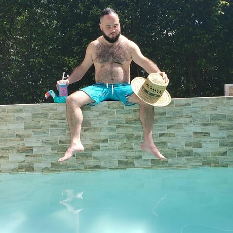 DeerockBear schöne hd archiv