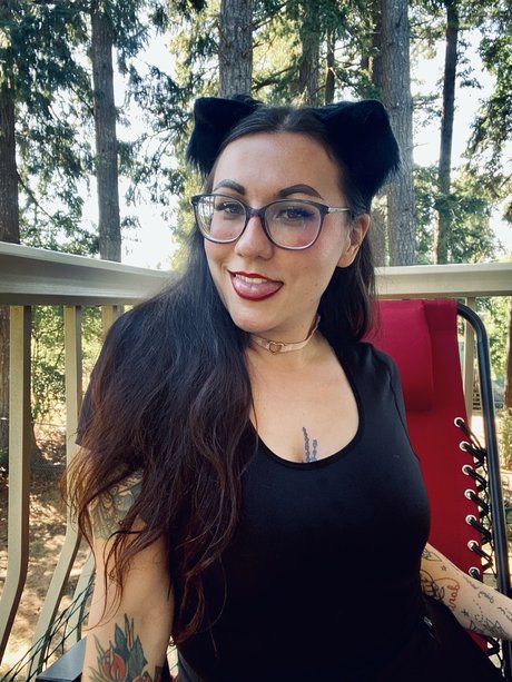 k i t t e n_ perfekte hd bilder