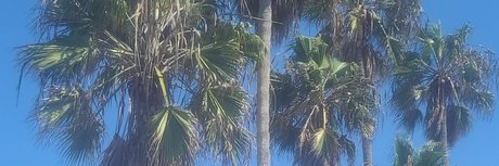 Wood pornostar xxx archiv