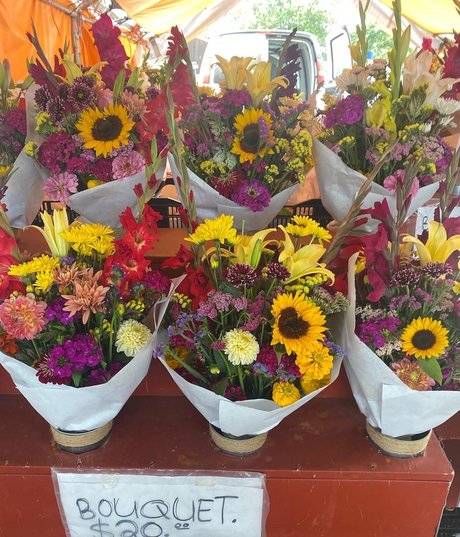 quinnnnx no ppv perfekte hübsche bild