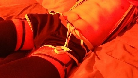 Felix_ perfekte freie bilder