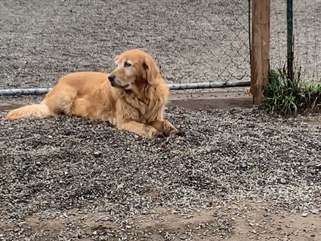 Michael Scott schöne nette fotos