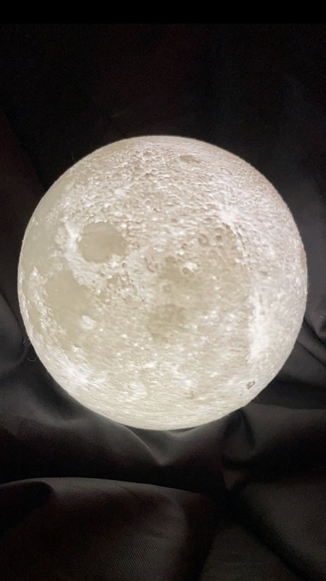 Dewilish free freie exklusive foto