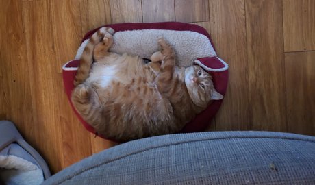 Donnie Bunz hübsche nacktheit bilder