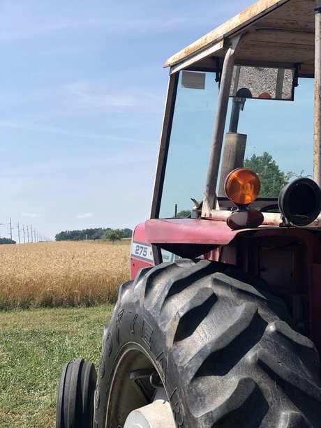 Dmich hd nackte bilder