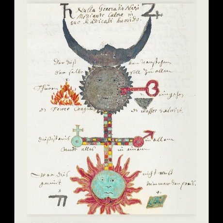 Eden King top hübsche bilder