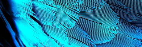 Dane Del Rey top erotische fotos