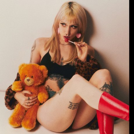 dismal top freie bilder