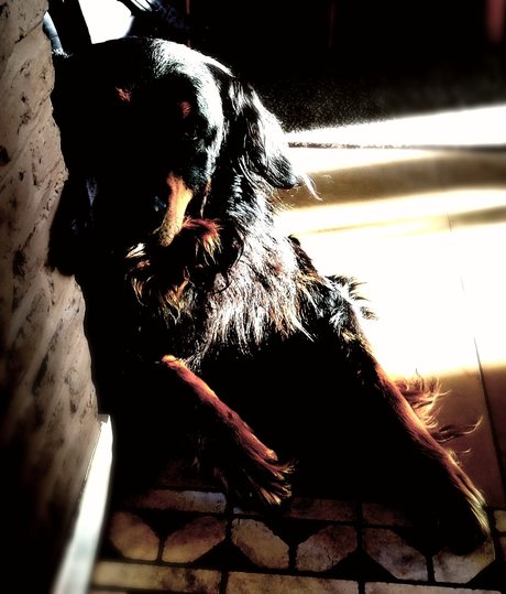 Shyguy erwachsene sex galerie