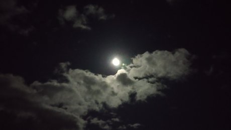 großer schwanz femboy onlyfans schöne nacktheit bild