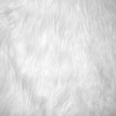 Raya_ model pornografische galerie