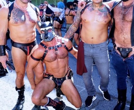 Rhys Dylan freie archiv