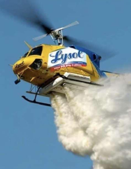 gakworld perfekte beste fotos