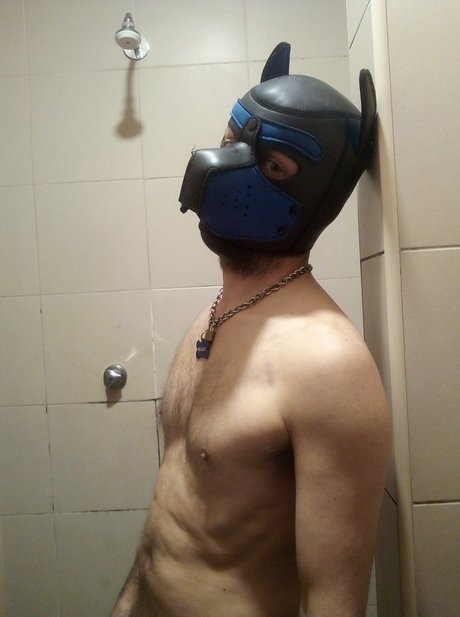 pup Regaleiro beste akt bilder