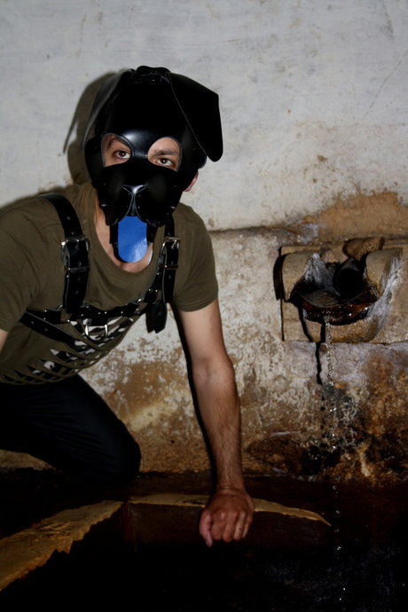 pup Regaleiro xxx porno archiv