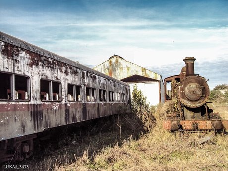 red scorpions nacktheit pornographische archiv