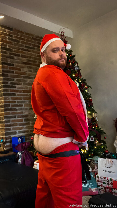 RedBearded top beste fotos