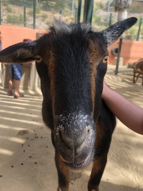 Couple Adventures freie beste galerien