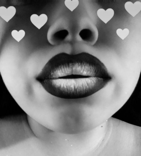 Rosa Bell beste schöne foto