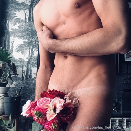 mollige kätzchen-onlyfans freie kunst foto