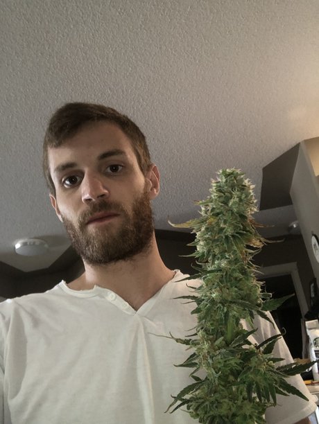 Rollin pornostar nacktheit foto